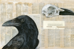 Crow-Skull-P18-19