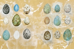 Eggs-endpaper-S