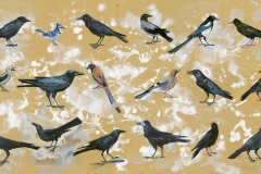 Endpaper-Crows-edit