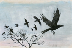 Flapping-Crows-M