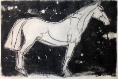 'Horse' - night