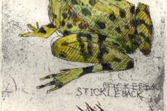 Frog & Stickleback