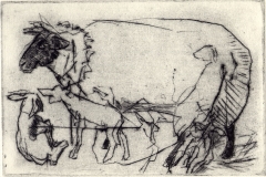 Judy's Ewe with lambs