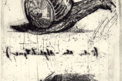 Snail and Bewick's Sow