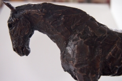 Austin bronze (detail)