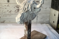 Cow head II