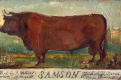 Samson (study)
